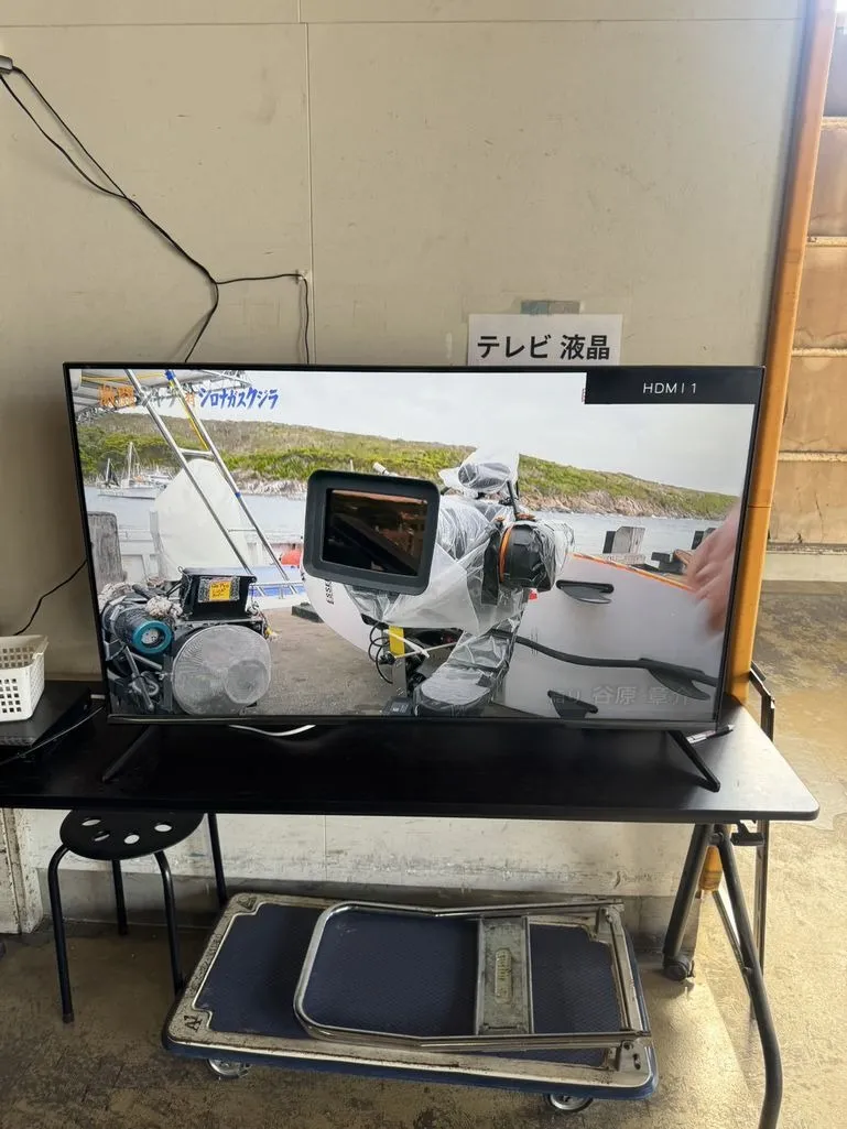 テレビ 50インチ グリーンハウス 