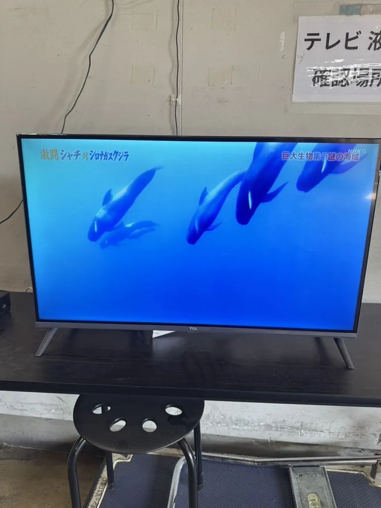 テレビ 32インチ TCL 32S5401 2024年製 リモコン付