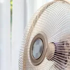 扇風機・サーキュレーター